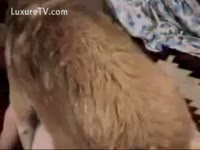 dog hit the right spot
